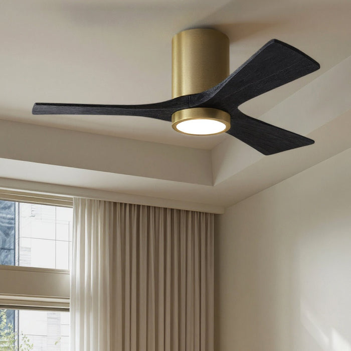 UMC9294 Modern Indoor/Outdoor Ceiling Fan, 12" H x 42" W x 42" D, Brushed Brass Finish, Aerwyn Collection
