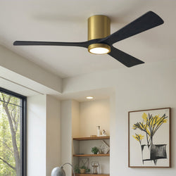 Urban Ambiance - Ceiling Fan - UMC9296 Glam Indoor/Outdoor Ceiling Fan, 12" H x 60" W x 60" D, Brushed Brass Finish, Aerwyn Collection - 