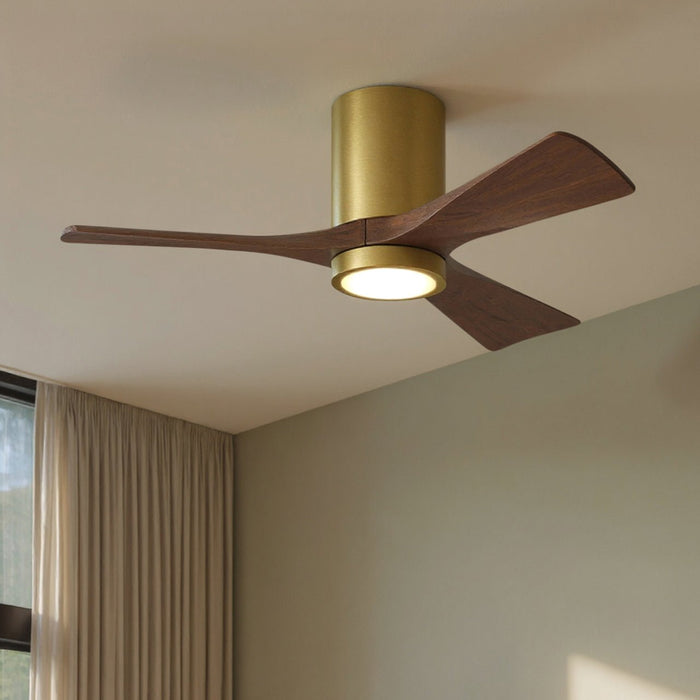UMC9299 Modern Indoor/Outdoor Ceiling Fan, 12" H x 42" W x 42" D, Brushed Brass Finish, Aerwyn Collection