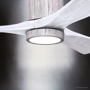 Urban Ambiance - Ceiling Fan - UMC9301 Modern Indoor/Outdoor Ceiling Fan, 12