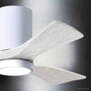 Urban Ambiance - Ceiling Fan - UMC9311 Modern Indoor/Outdoor Ceiling Fan, 12