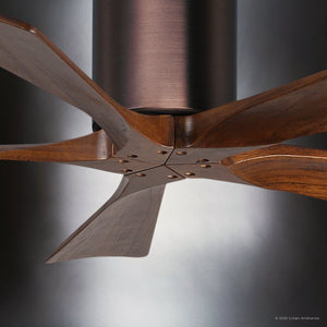 Urban Ambiance - Ceiling Fan - UMC9316 Rustic Indoor/Outdoor Ceiling Fan, 10
