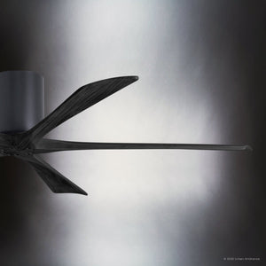 Urban Ambiance - Ceiling Fan - UMC9318 Modern Farmhouse Indoor/Outdoor Ceiling Fan, 10
