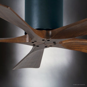 Urban Ambiance - Ceiling Fan - UMC9319 Transitional Indoor/Outdoor Ceiling Fan, 10