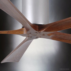 Urban Ambiance - Ceiling Fan - UMC9321 Natural Indoor/Outdoor Ceiling Fan, 10