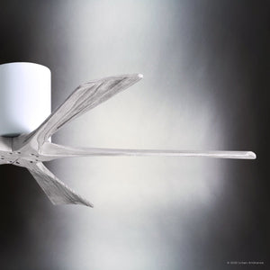 Urban Ambiance - Ceiling Fan - UMC9327 Transitional Indoor/Outdoor Ceiling Fan, 10