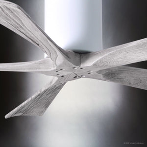 Urban Ambiance - Ceiling Fan - UMC9327 Transitional Indoor/Outdoor Ceiling Fan, 10