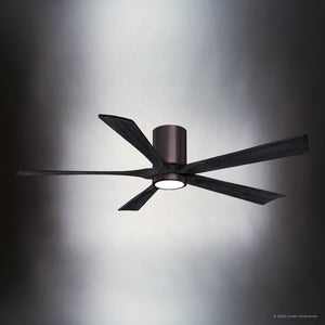 Urban Ambiance - Ceiling Fan - UMC9331 Minimalist Indoor/Outdoor Ceiling Fan, 12