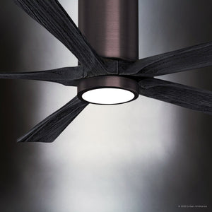 Urban Ambiance - Ceiling Fan - UMC9331 Minimalist Indoor/Outdoor Ceiling Fan, 12