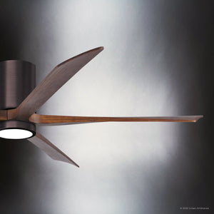 Urban Ambiance - Ceiling Fan - UMC9334 Modern Indoor/Outdoor Ceiling Fan, 12
