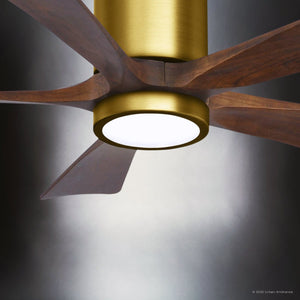Urban Ambiance - Ceiling Fan - UMC9337 Modern Indoor/Outdoor Ceiling Fan, 12