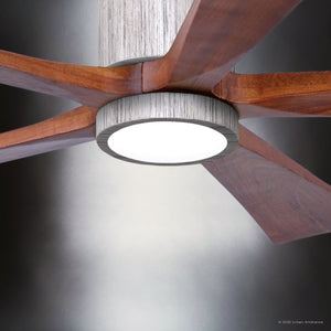 Urban Ambiance - Ceiling Fan - UMC9338 Modern Indoor/Outdoor Ceiling Fan, 12