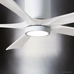Urban Ambiance - Ceiling Fan - UMC9342 Steampunk Indoor/Outdoor Ceiling Fan, 12