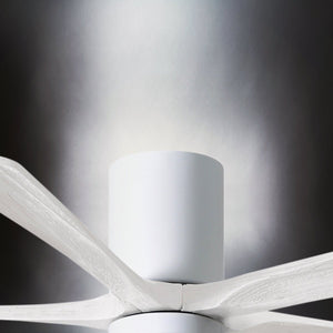 Urban Ambiance - Ceiling Fan - UMC9342 Steampunk Indoor/Outdoor Ceiling Fan, 12