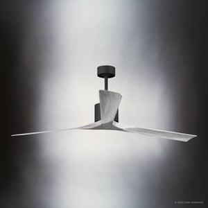 Urban Ambiance - Ceiling Fan - UMC9428 Modern Indoor/Outdoor Ceiling Fan, 12