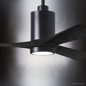 Urban Ambiance - Ceiling Fan - UMC9440 Modern Indoor/Outdoor Ceiling Fan, 14
