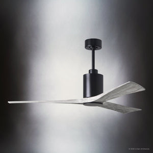 Urban Ambiance - Ceiling Fan - UMC9442 Glam Indoor/Outdoor Ceiling Fan, 14