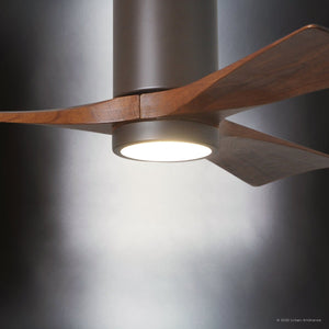 Urban Ambiance - Ceiling Fan - UMC9444 Modern Indoor/Outdoor Ceiling Fan, 14