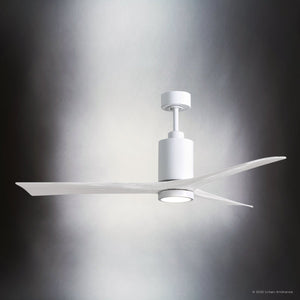 Urban Ambiance - Ceiling Fan - UMC9448 Scandinavian Indoor/Outdoor Ceiling Fan, 14