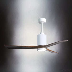 Urban Ambiance - Ceiling Fan - UMC9449 Modern Rustic Indoor/Outdoor Ceiling Fan, 14