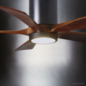 Urban Ambiance - Ceiling Fan - UMC9452 Colonial Indoor/Outdoor Ceiling Fan, 14