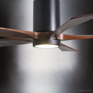 Urban Ambiance - Ceiling Fan - UMC9453 Farmhouse Indoor/Outdoor Ceiling Fan, 14