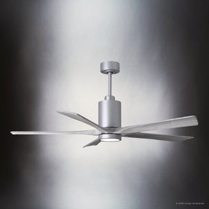 Urban Ambiance - Ceiling Fan - UMC9456 Traditional Indoor/Outdoor Ceiling Fan, 14