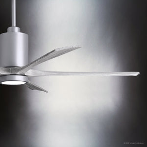 Urban Ambiance - Ceiling Fan - UMC9456 Traditional Indoor/Outdoor Ceiling Fan, 14