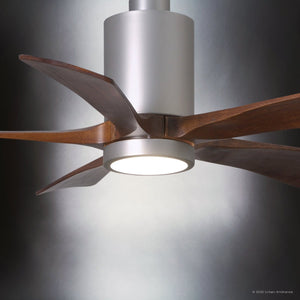 Urban Ambiance - Ceiling Fan - UMC9457 Modern Farmhouse Indoor/Outdoor Ceiling Fan, 14