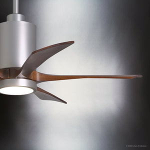 Urban Ambiance - Ceiling Fan - UMC9457 Modern Farmhouse Indoor/Outdoor Ceiling Fan, 14