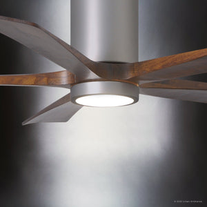 Urban Ambiance - Ceiling Fan - UMC9458 Farmhouse Indoor/Outdoor Ceiling Fan, 14