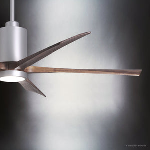 Urban Ambiance - Ceiling Fan - UMC9459 Urban Loft Indoor/Outdoor Ceiling Fan, 14