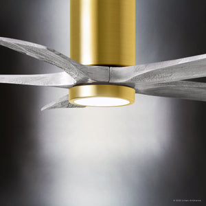 Urban Ambiance - Ceiling Fan - UMC9461 Glam Indoor/Outdoor Ceiling Fan, 14