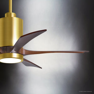 Urban Ambiance - Ceiling Fan - UMC9463 American Bungalow Indoor/Outdoor Ceiling Fan, 14