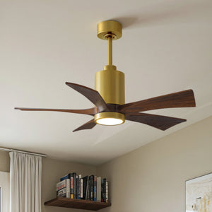 Urban Ambiance - Ceiling Fan - UMC9463 American Bungalow Indoor/Outdoor Ceiling Fan, 14" (Plus Downrod) H x 42" W x 42" D, Brushed Brass Finish, Thistmere Collection - 