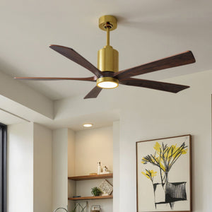 Urban Ambiance - Ceiling Fan - UMC9465 Colonial Indoor/Outdoor Ceiling Fan, 14" (Plus Downrod) H x 60" W x 60" D, Brushed Brass Finish, Thistmere Collection - 