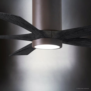 Urban Ambiance - Ceiling Fan - UMC9466 Traditional Indoor/Outdoor Ceiling Fan, 14