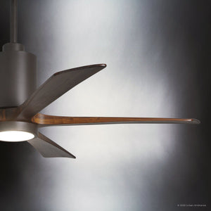 Urban Ambiance - Ceiling Fan - UMC9467 Modern Farmhouse Indoor/Outdoor Ceiling Fan, 14