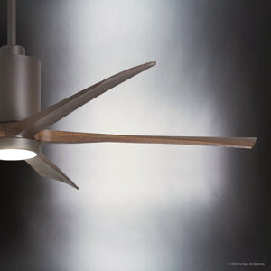 Urban Ambiance - Ceiling Fan - UMC9468 Mid Century Modern Indoor/Outdoor Ceiling Fan, 14