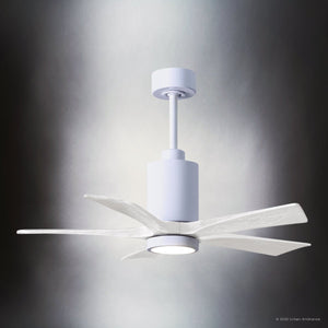 Urban Ambiance - Ceiling Fan - UMC9469 Modern Farmhouse Indoor/Outdoor Ceiling Fan, 14