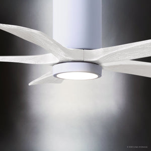 Urban Ambiance - Ceiling Fan - UMC9469 Modern Farmhouse Indoor/Outdoor Ceiling Fan, 14
