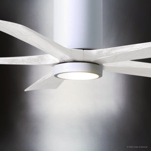 Urban Ambiance - Ceiling Fan - UMC9470 Farmhouse Indoor/Outdoor Ceiling Fan, 14