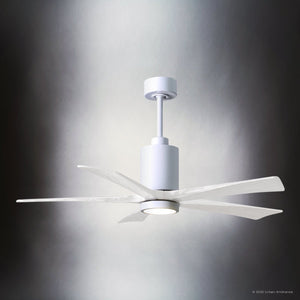 Urban Ambiance - Ceiling Fan - UMC9470 Farmhouse Indoor/Outdoor Ceiling Fan, 14