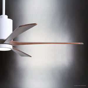 Urban Ambiance - Ceiling Fan - UMC9471 Modern Indoor/Outdoor Ceiling Fan, 14