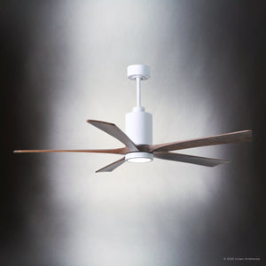 Urban Ambiance - Ceiling Fan - UMC9471 Modern Indoor/Outdoor Ceiling Fan, 14