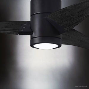 Urban Ambiance - Ceiling Fan - UMC9480 Modern Farmhouse Indoor/Outdoor Ceiling Fan, 12