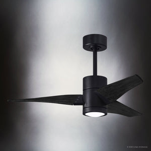 Urban Ambiance - Ceiling Fan - UMC9480 Modern Farmhouse Indoor/Outdoor Ceiling Fan, 12