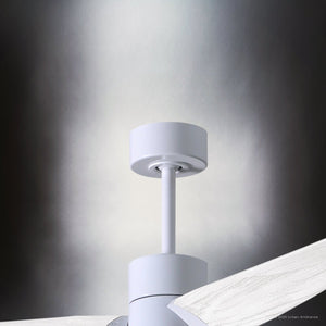 Urban Ambiance - Ceiling Fan - UMC9493 Casual Indoor/Outdoor Ceiling Fan, 12