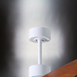 Urban Ambiance - Ceiling Fan - UMC9494 Modern Farmhouse Indoor/Outdoor Ceiling Fan, 12