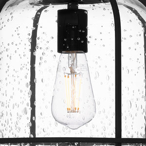 Urban Ambiance - Pendant - UQL1943 Coastal Outdoor Pendant, 16.25''H x 10''W x 10''D, Earth Black Finish, Lausanne Collection - 